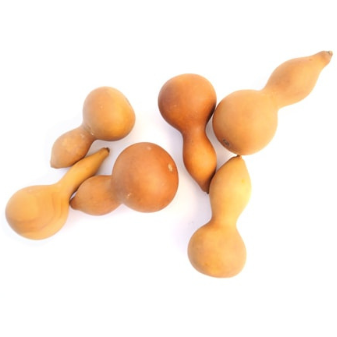 Mini calabaza seca