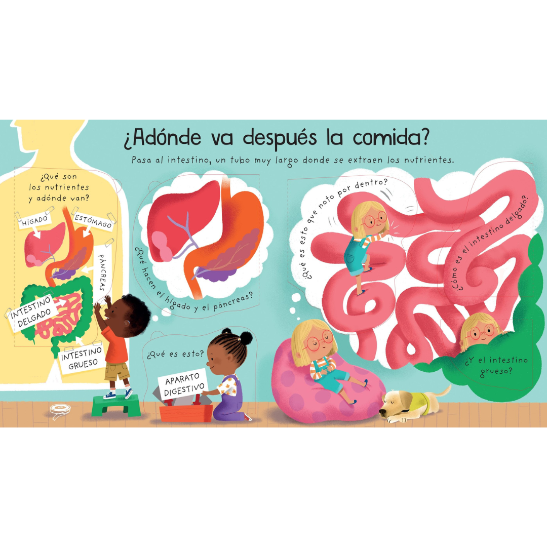 ¿Qué hace el cuerpo con lo que como?