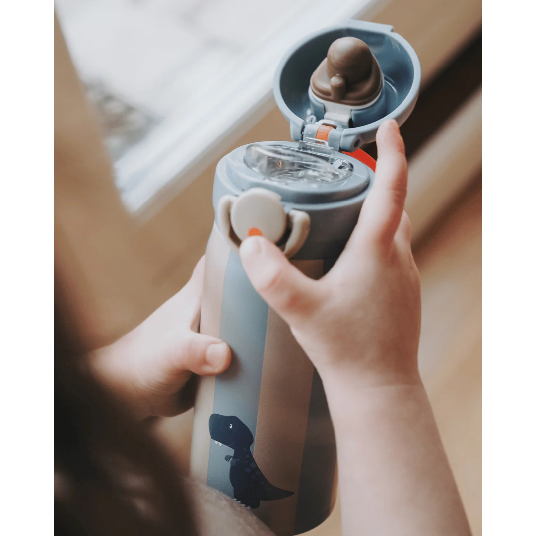 Botella de acero térmica NOUI NOUI 350ml. · dino