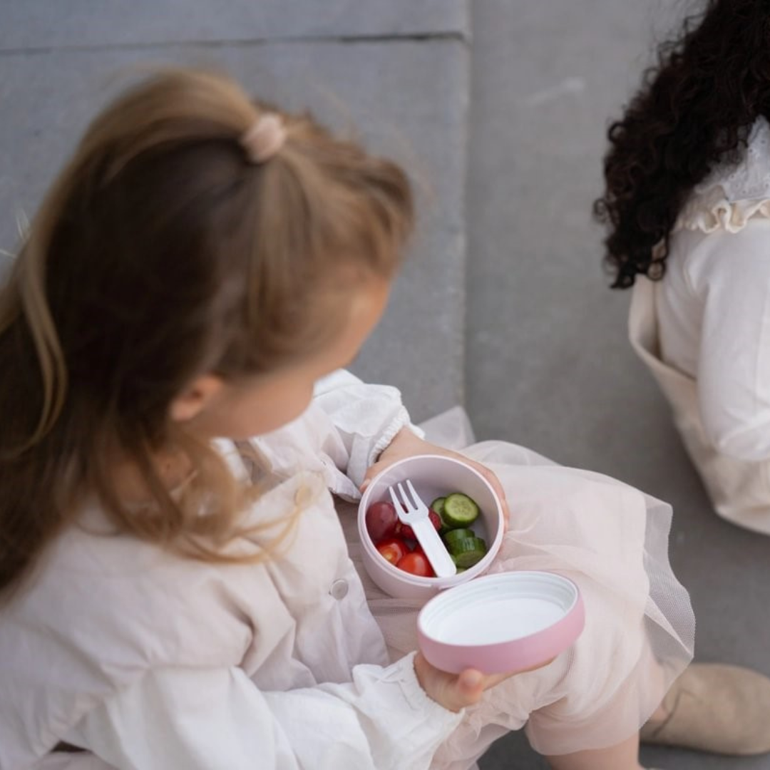 Cajita para snacks y fruta MEPAL · fairy garden