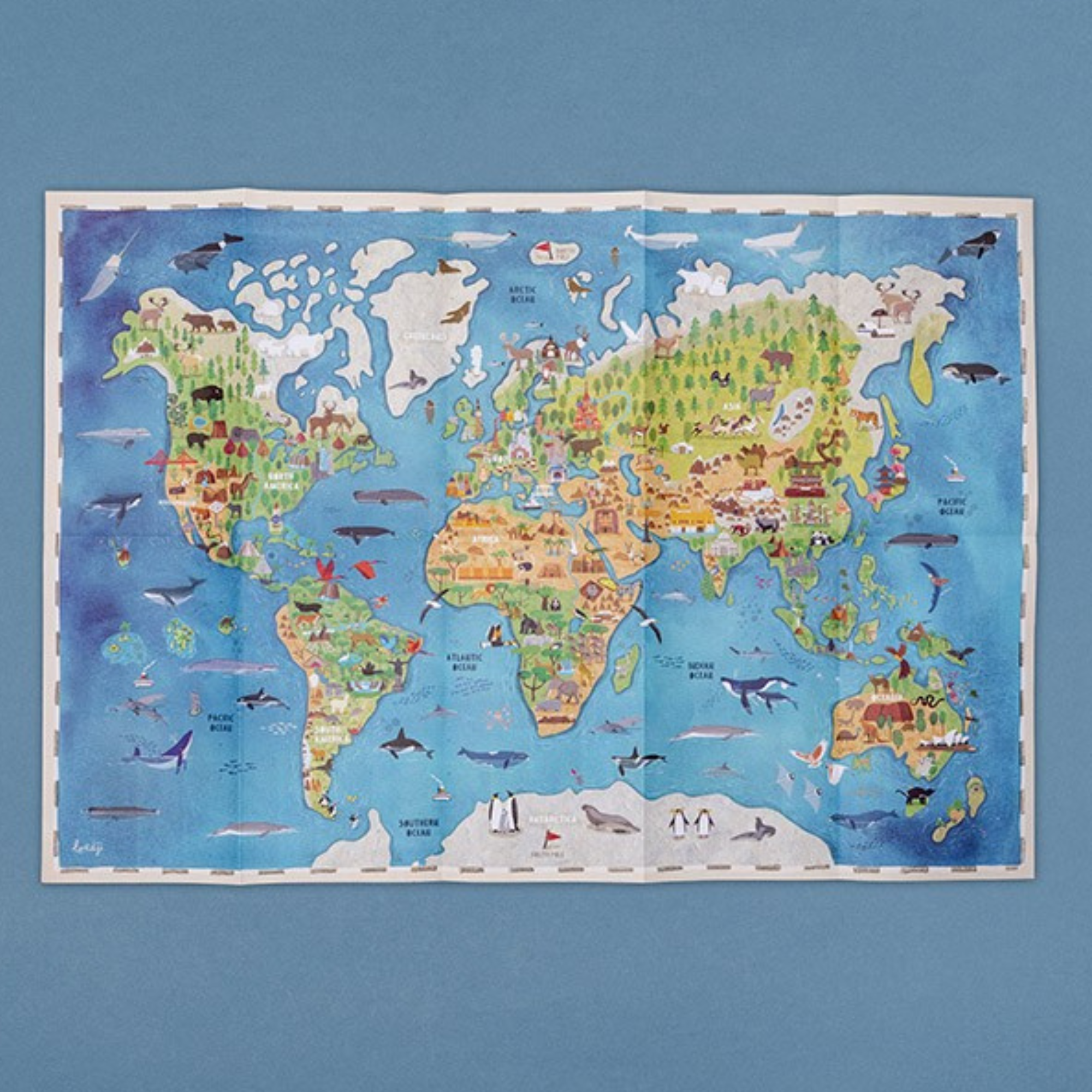 Wonderfull world LEARN&FUN