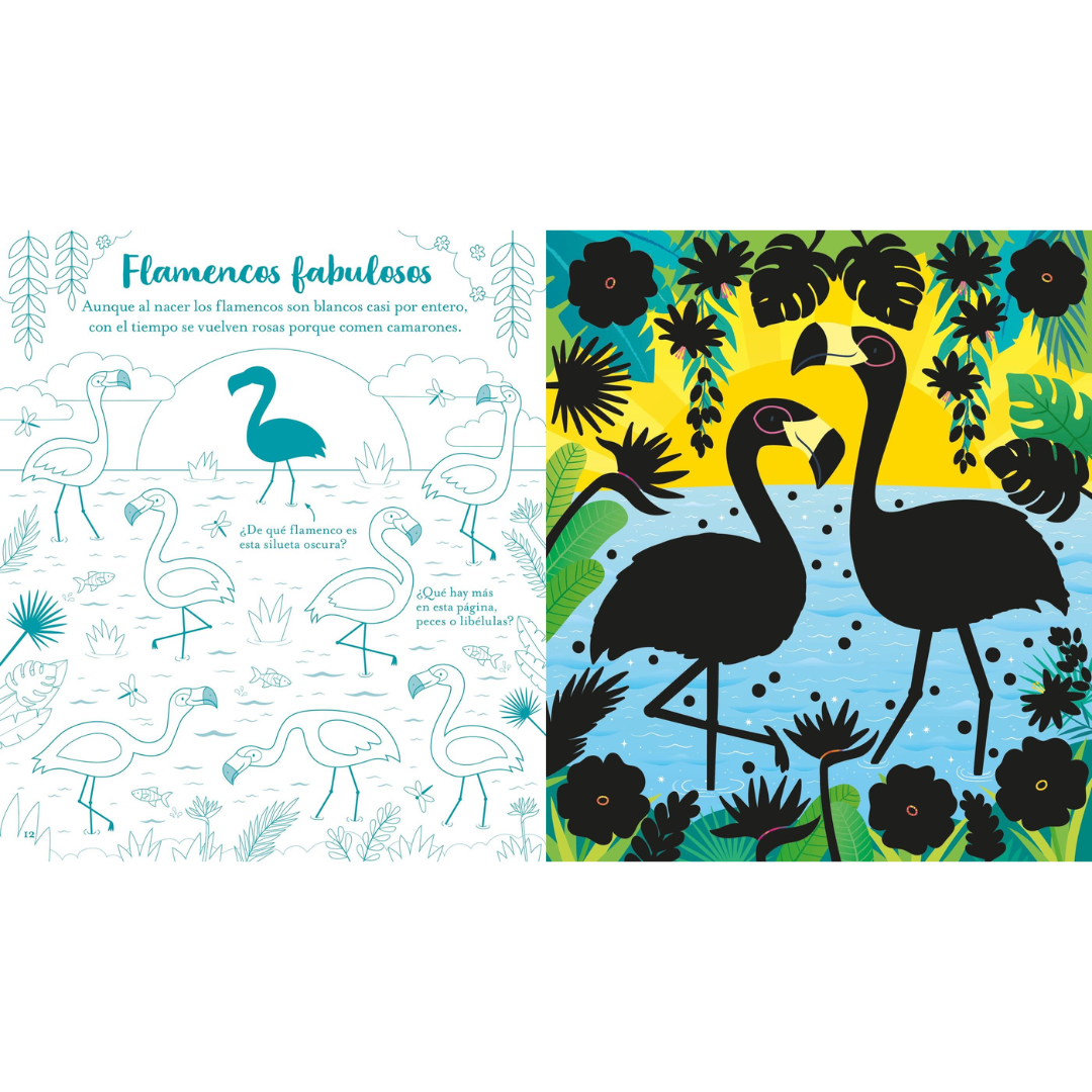 Rasca-rasca con actividades: animales