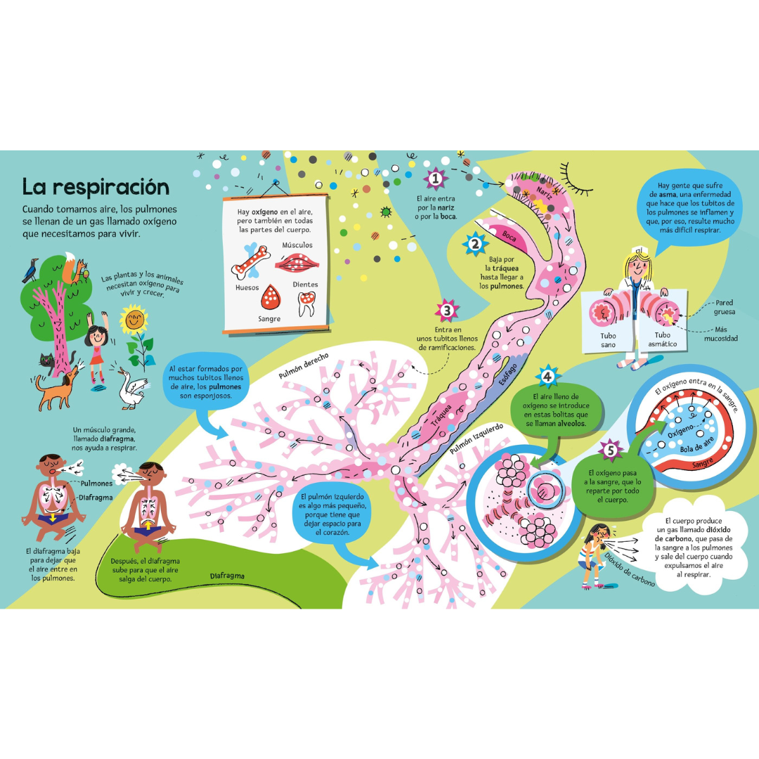 El gran libro del cuerpo humano