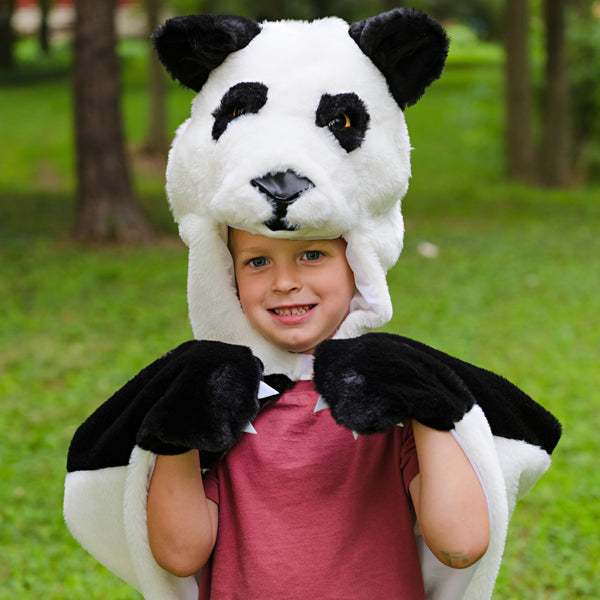 Capa Panda · 2-6 años