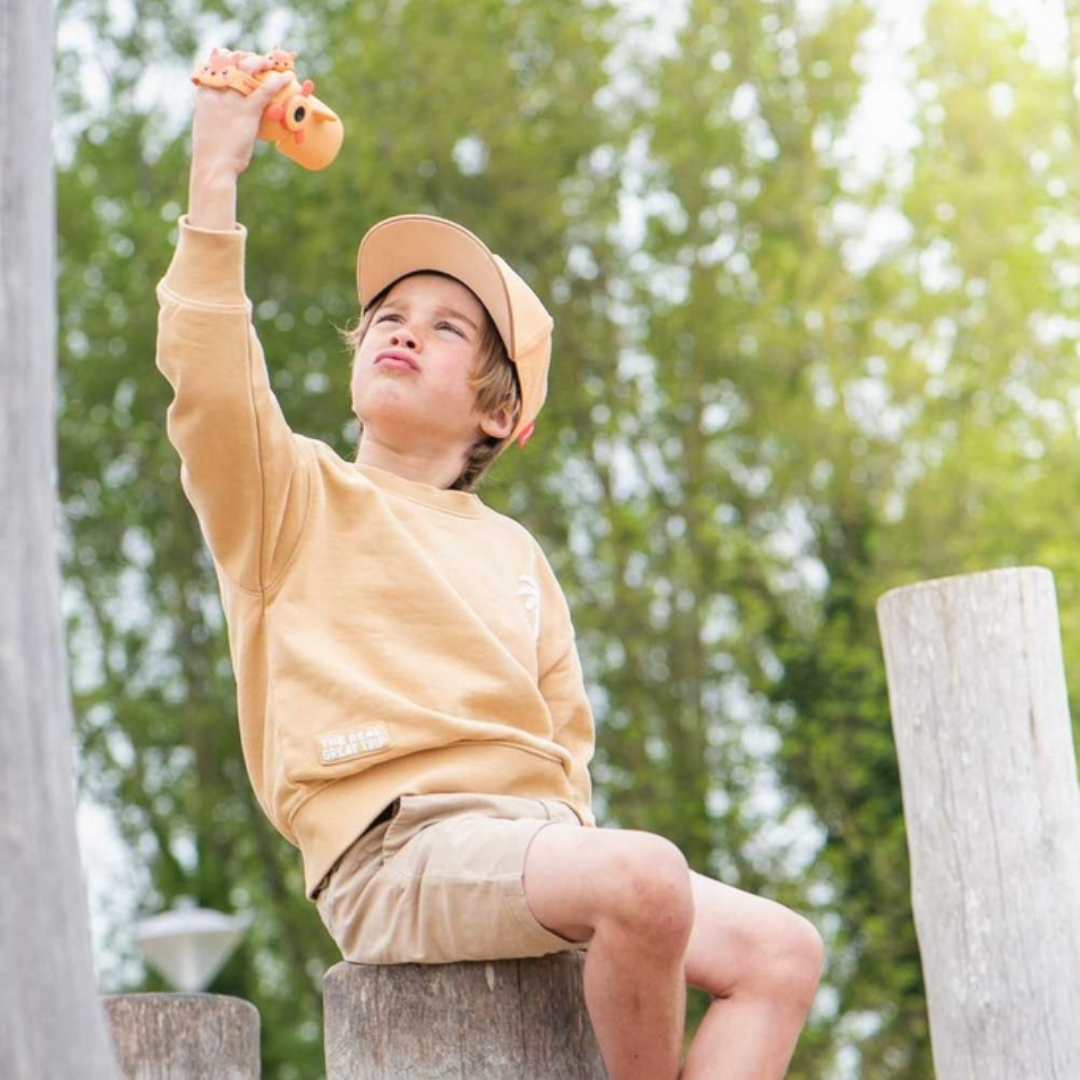 Cámara digital ZOO VÍDEO · zorro