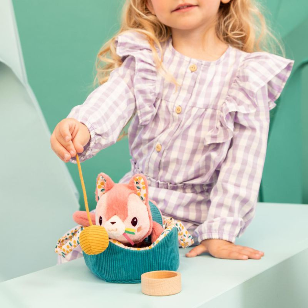 Jeanne el gato y su cesta