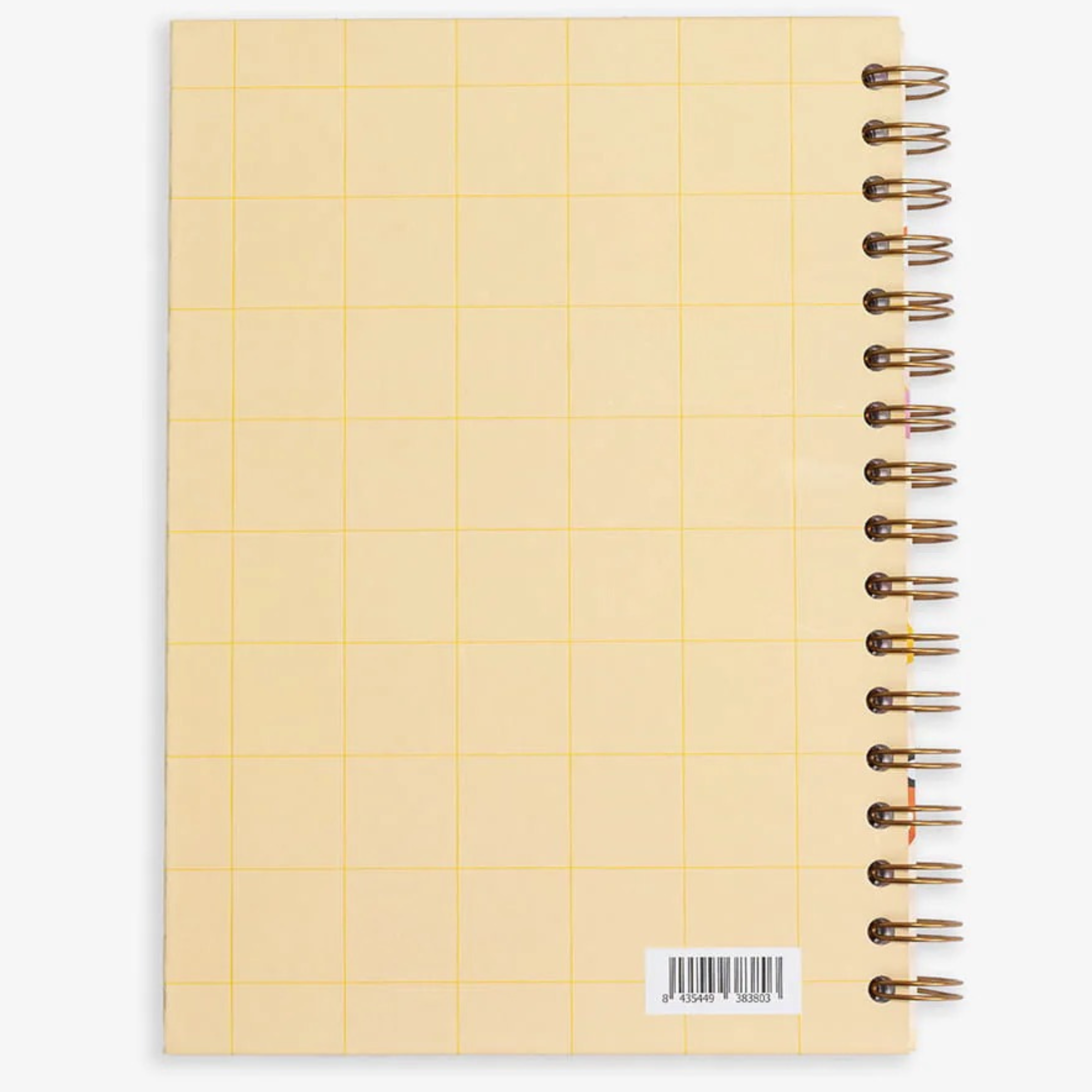 Libreta: profe, gracias por hacerme sentir capaz