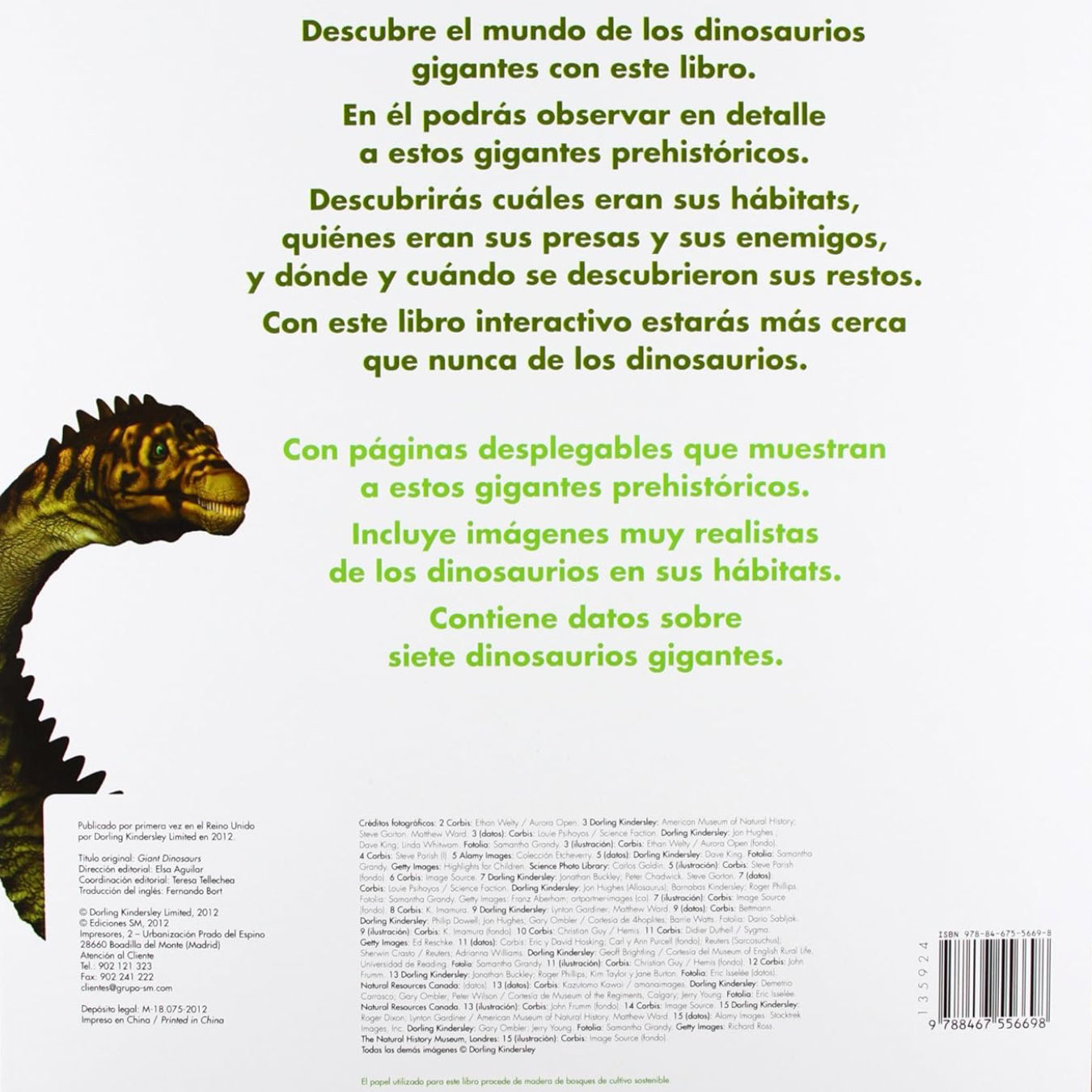 Dinosaurios gigantes