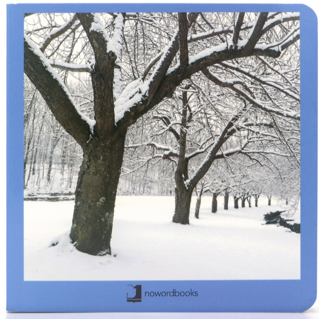 Libro de fotografías Nowordbooks · invierno