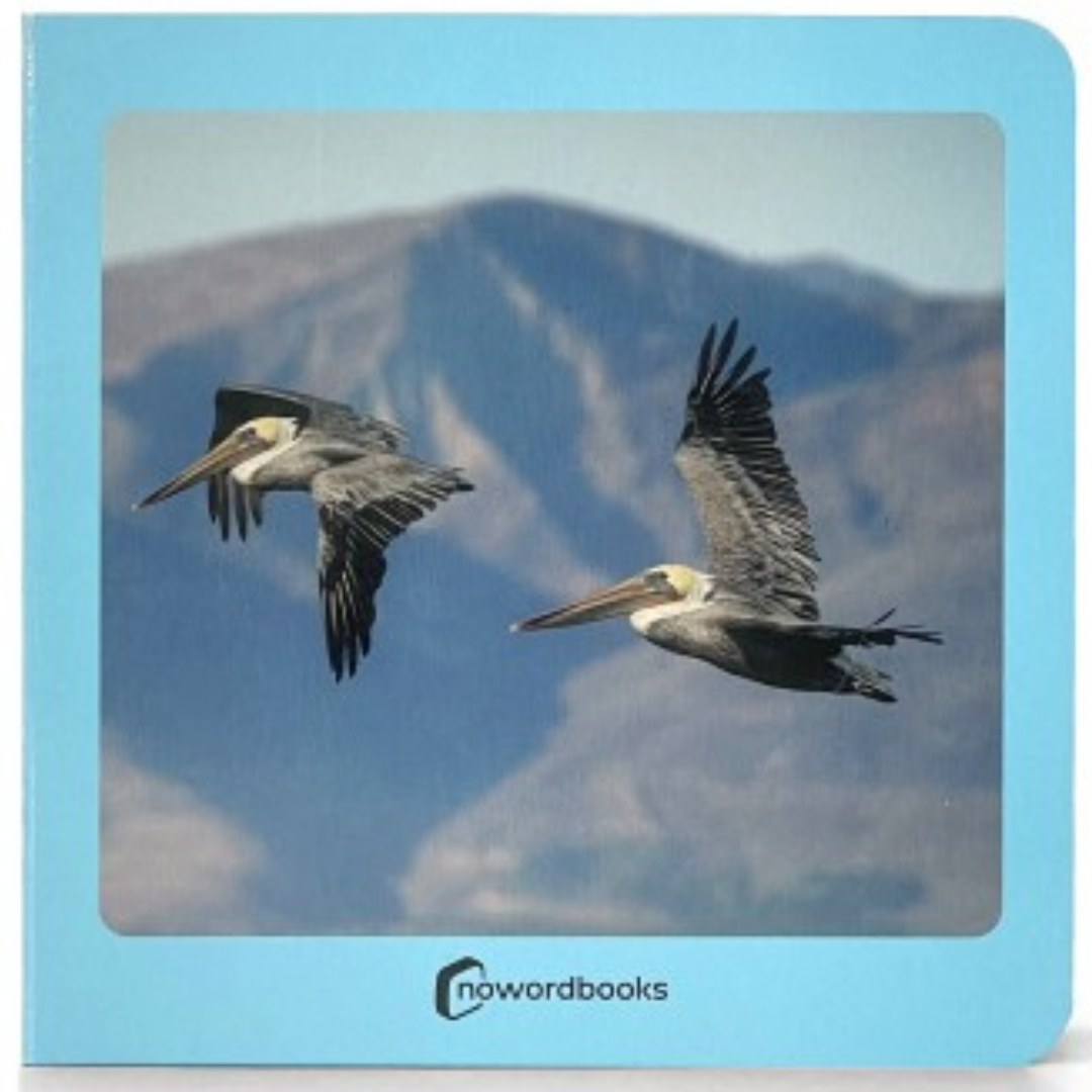 Libro de fotografías Nowordbooks · aves