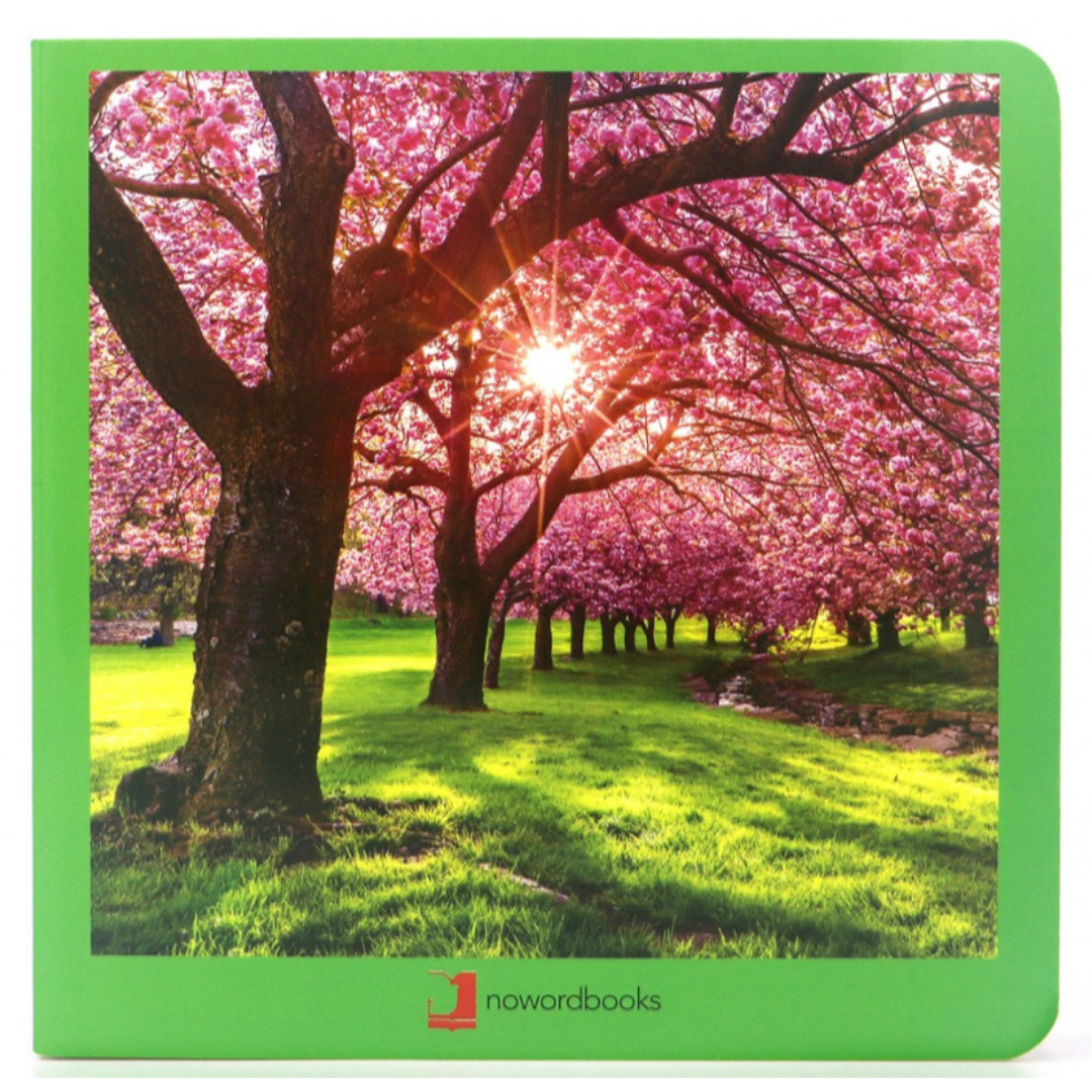 Libro de fotografías Nowordbooks · primavera