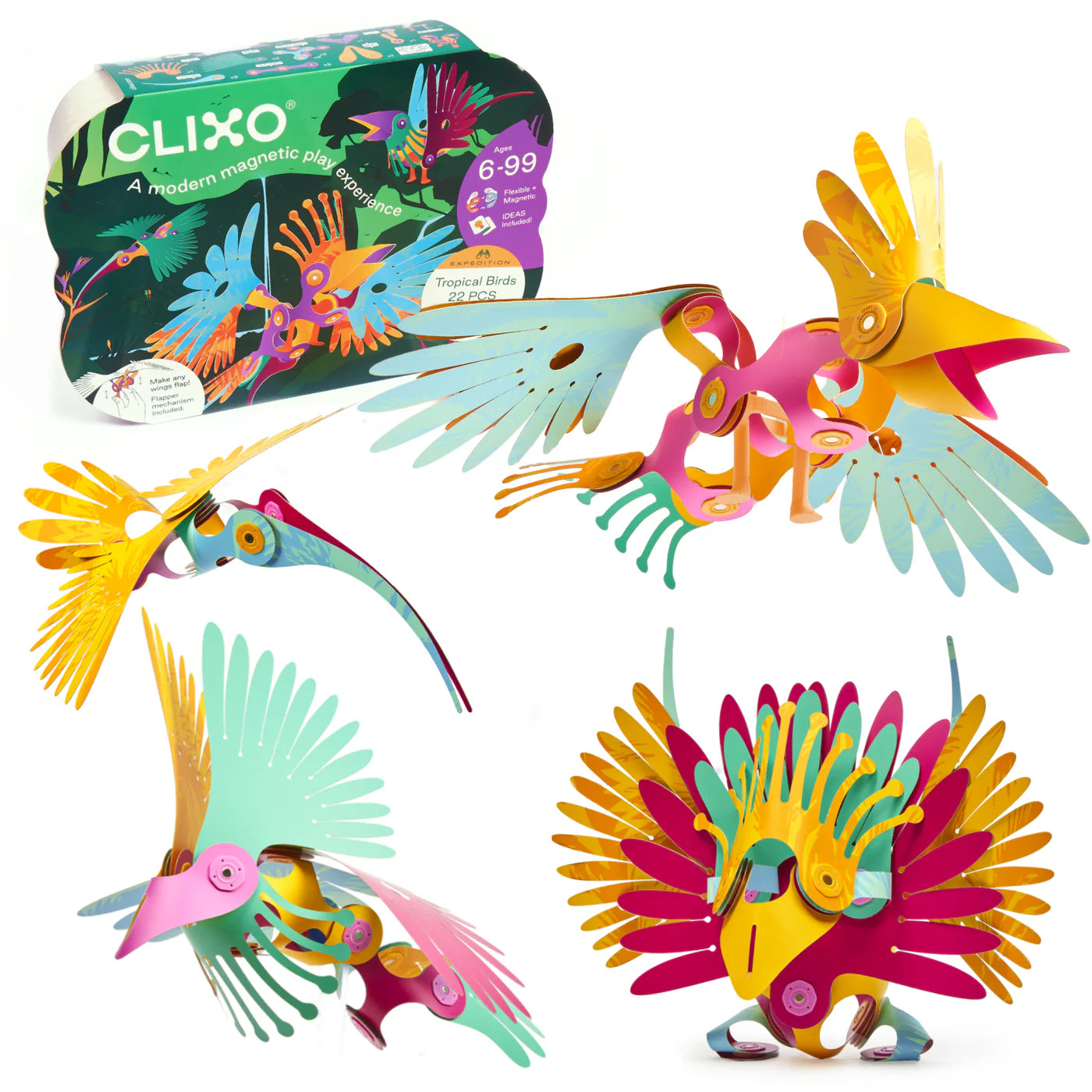 CLIXO tropical birds pack: 22 piezas