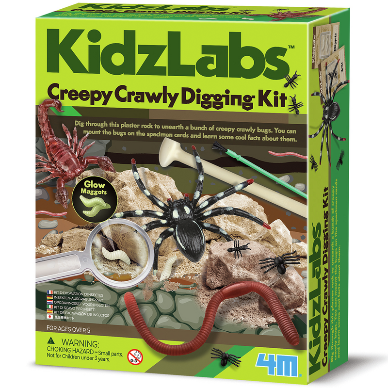 Excavación de Insectos KidzLabs