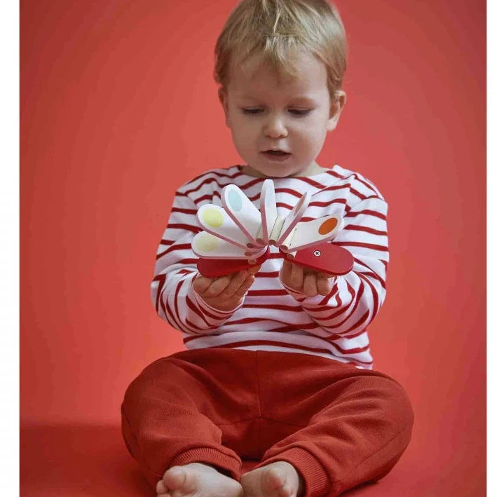 Acordeón clack-clack CONFETTI