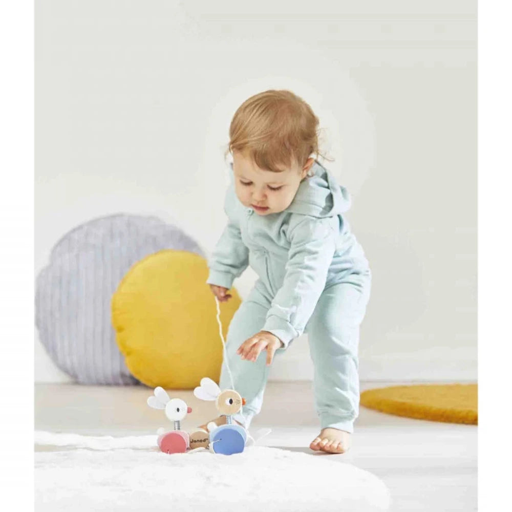 Conejitos para pasear de madera