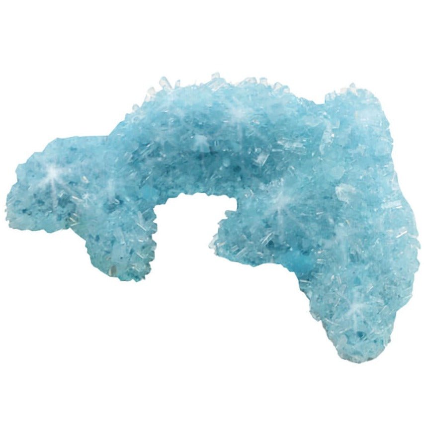 Creando Cristales de Animales · PhänoMINT - La Chata Merengüela