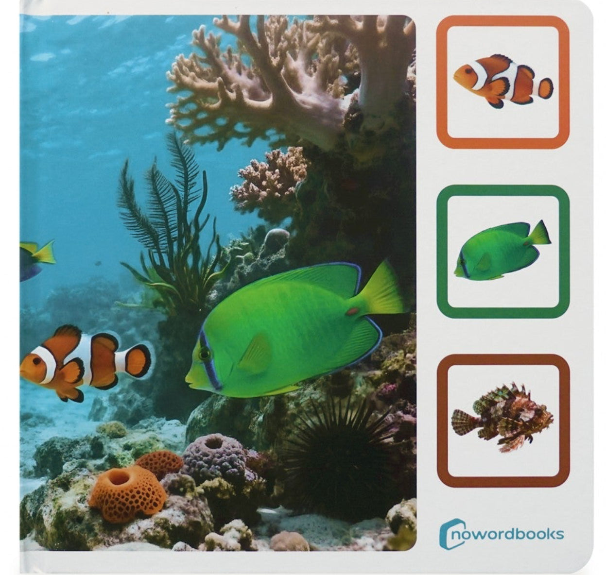 Encuéntrame en el mar