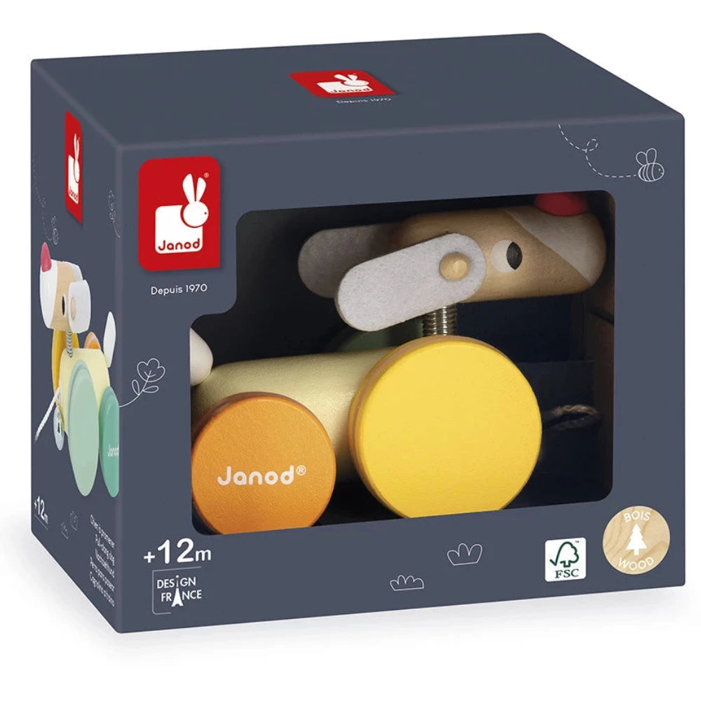 Perro ZIGOLOS para pasear