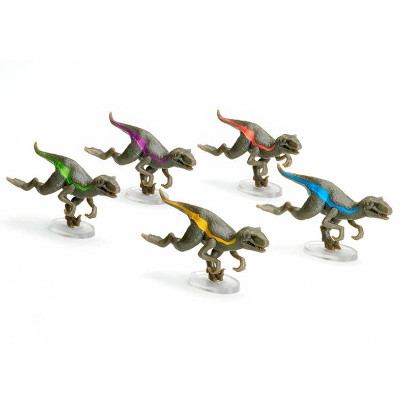 Raptor race