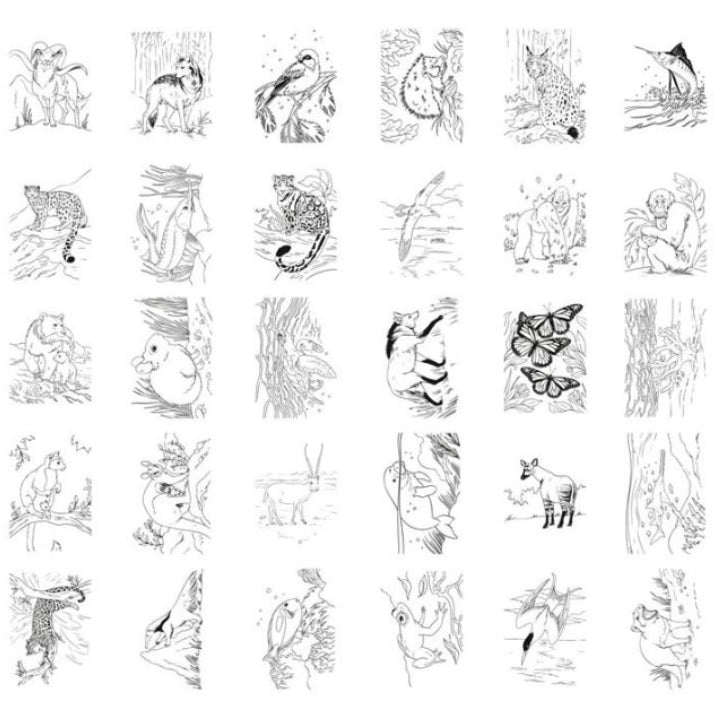 Tableta para dibujar KIDYDRAW PAD · animales