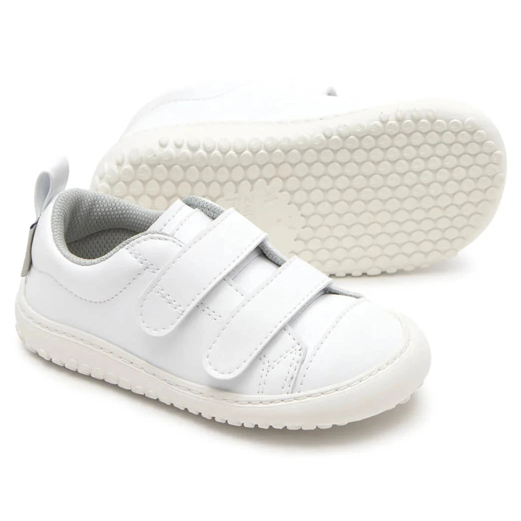 Zapato feroz MORAIRA ROCKER AW25