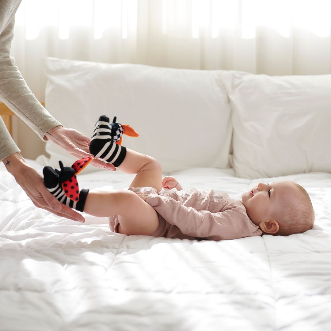 Calcetines de estimulación · Ladybug - La Chata Merengüela
