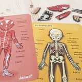 Juego de Anatomía: Bodymagnet - La Chata Merengüela