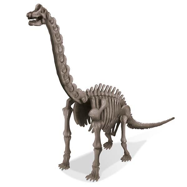 Kit Excavación Fósiles · Brachiosaurus - La Chata Merengüela