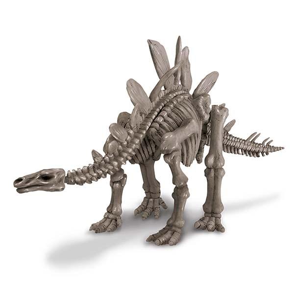 Kit Excavación Fósiles · Stegosaurus - La Chata Merengüela