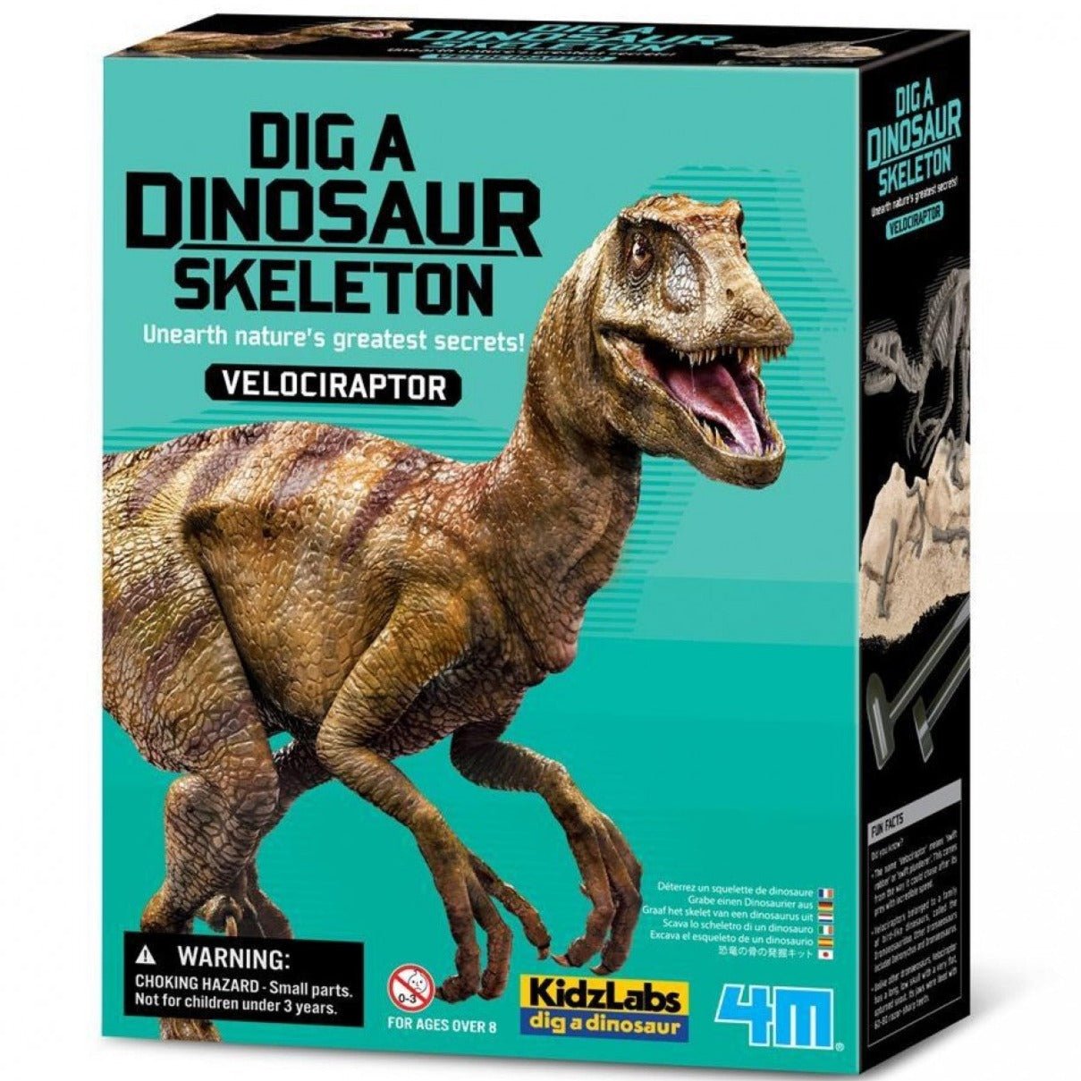 Kit Excavación Fósiles · Velociraptor - La Chata Merengüela