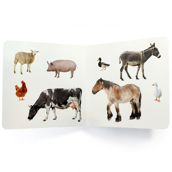 Libro de fotografías Nowordbooks · Animales de granja 2 - La Chata Merengüela