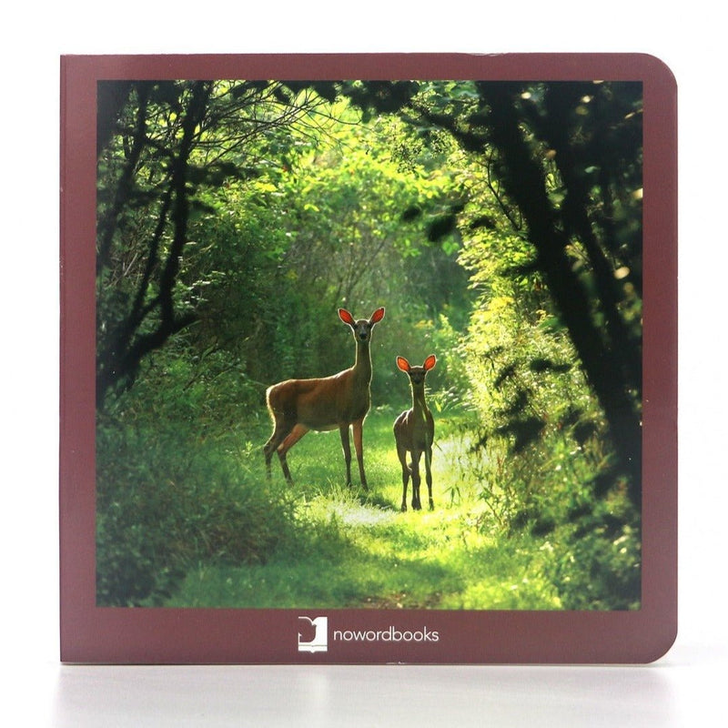 Libro de fotografías Nowordbooks · Animales del bosque - La Chata Merengüela