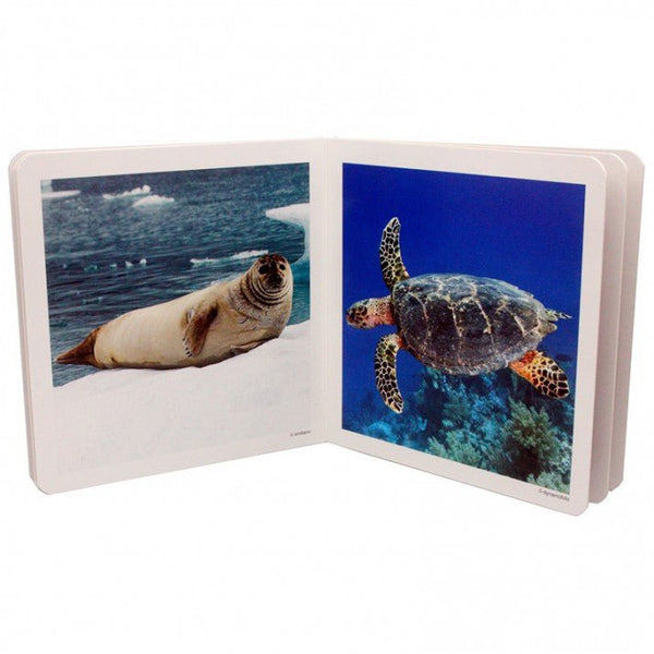 Libro de fotografías Nowordbooks · Animales marinos - La Chata Merengüela