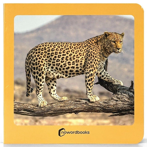 Libro de fotografías Nowordbooks · Animales salvajes - La Chata Merengüela