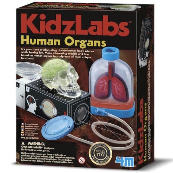 Órganos del Cuerpo Humano KidzLabs - La Chata Merengüela