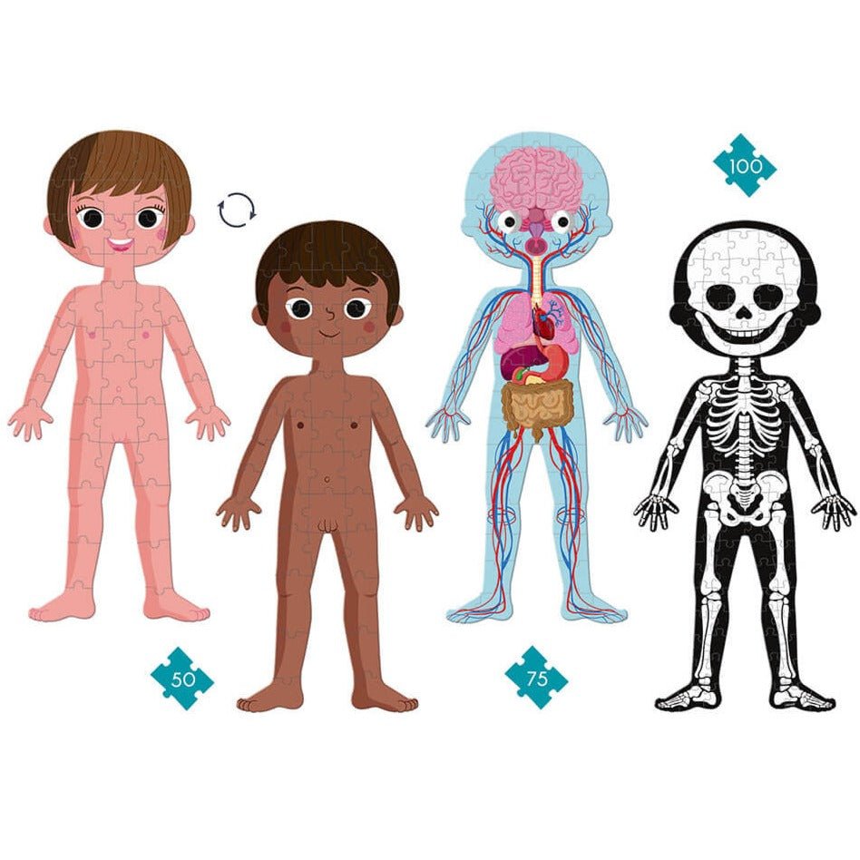 Puzzle Educativo Cuerpo Humano - La Chata Merengüela